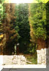 garden-before.jpg (80805 bytes)